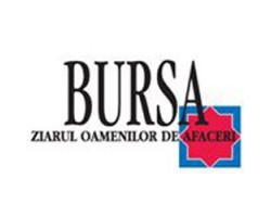 Bursa online